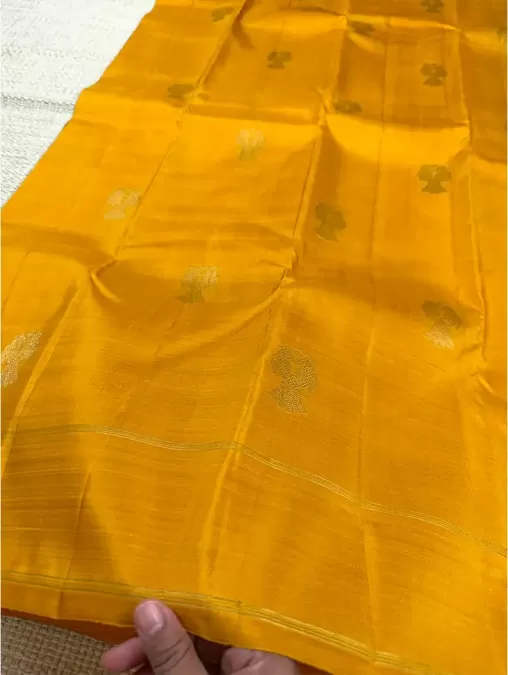 Black with Double Pallu Pure Zari Kanjeevaram Silk Saree